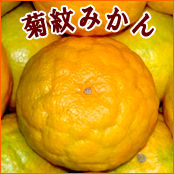 �e�݂���