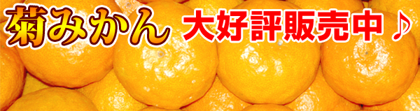 �咷�݂���