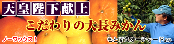 �咷�݂���