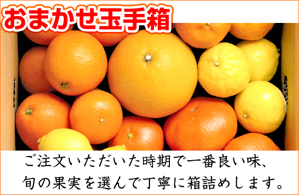 �咷�݂���